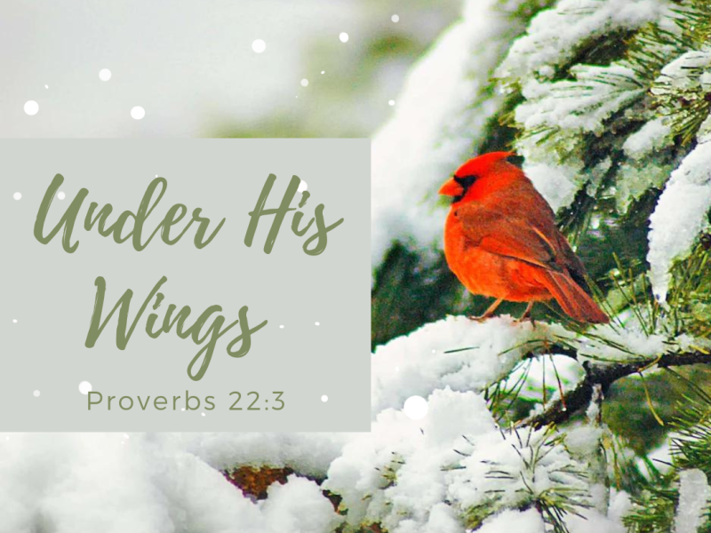 Under His Wings